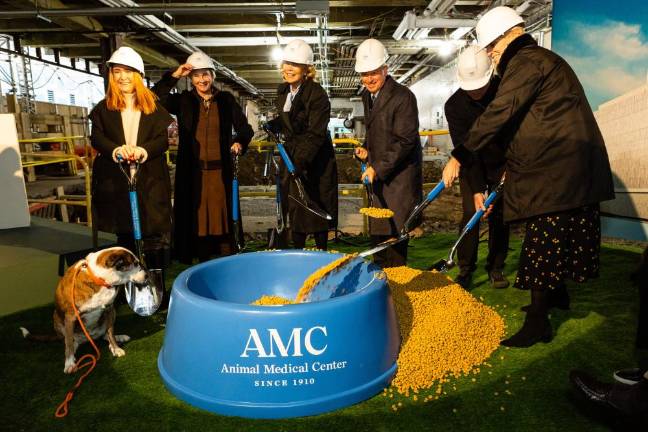 Left to right: Megan Hearst, AMC CEO Kathryn Coyne, Christine Schwarzman, Stephen Schwarzman, AMC Chairman Robert Liberman, Amy Stursberg. Photo: Ed Lefkowicz