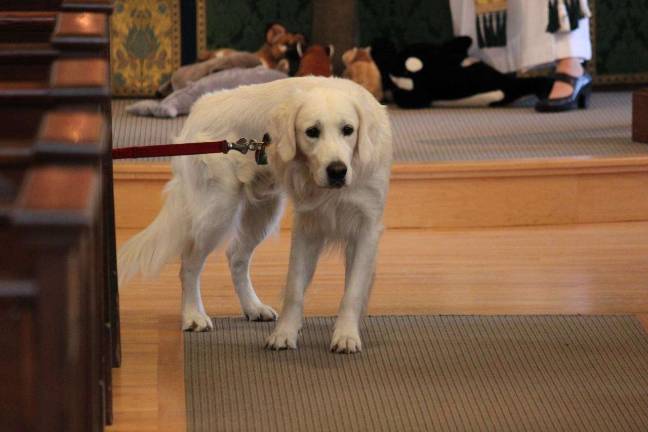 The Animals will be blessed East Side Encounters