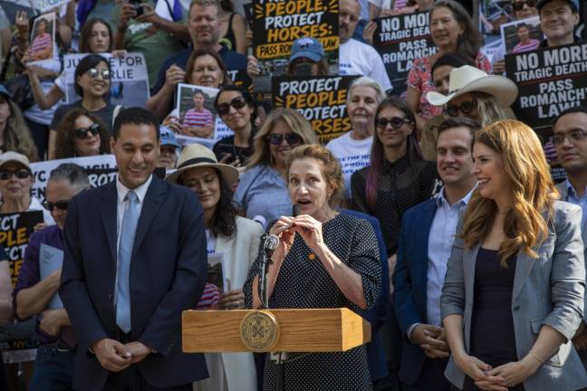 Actress Edie Falco, best known for her work in “The Sopranos,” showed up to a pre-hearing rally in support of banning the horse carriages. Falco also later testified during the hearing itself.