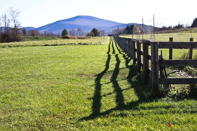 The Closing of a Door Senior living