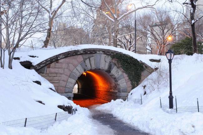 Last week's answer: Located east of the Pond on what used to be swampland, is Inscope Arch. This twelve foot, pink and gray granite arch was designed by Calvert Vaux. It has a railing of 100 feet and a passageway that is 34 feet in length. Congratulations to Gregory Holman and Robyn Roth-Moise for (again) answering correctly!