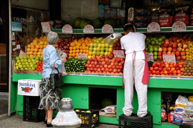 dueling solutions to the small business crisis Op-Eds