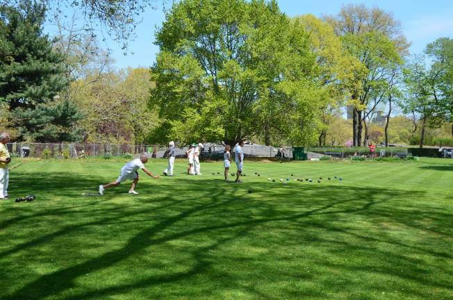 What’s Happening in Central Park