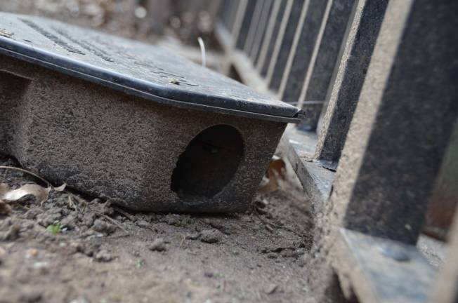 A parks department rat trap at Ruppert Park, on Second Avenue between 91st and 92nd streets. Photo by Daniel Fitzsimmons