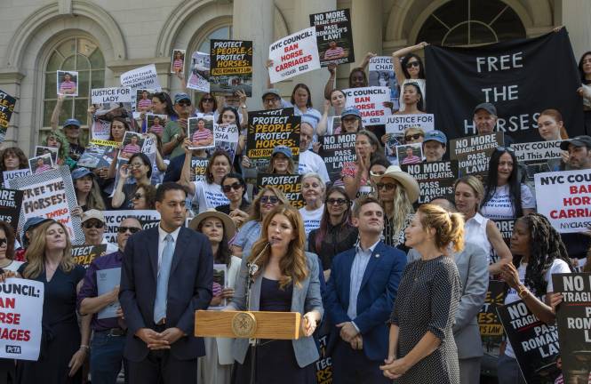 The NY City Council’s Committee of Health held its first contentious hearing for “Romanch’s Law,” which would ban horse carriages in Central Park if passed, July 15.