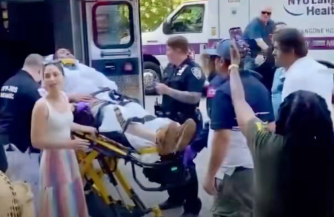 A number of local politicians swiftly seized on the incident to call for the passage of Ryder’s Law, which would ban the carriage trade in New York City.