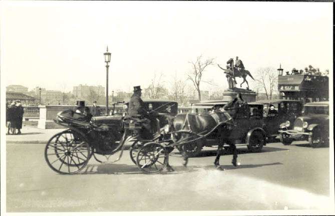 Debating the Central Park Horses