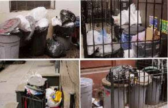 Cleaning Up Our Streets