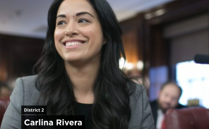 Councilwoman Carlina Rivera’s district which includes the East Village and parts of Midtown East, is dealing with over $4 million in requests for funds for a pot of gold amounting to only $1 million. Voters got to choose the winners. <b>Photo: District 2.</b>