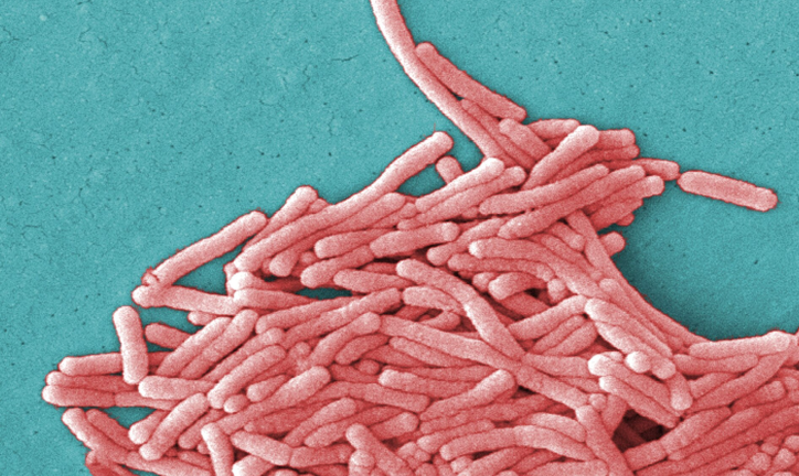 A outbreak of Legionnaires’ on the Upper East Side has now resulted in six deaths, even as no new cases have been reported since July 17.