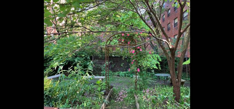 Welcome to the secret garden at the northern end of Little Italy. Advocates have been fighting for years to preserve the garden and block the city from putting up a low-income housing project.