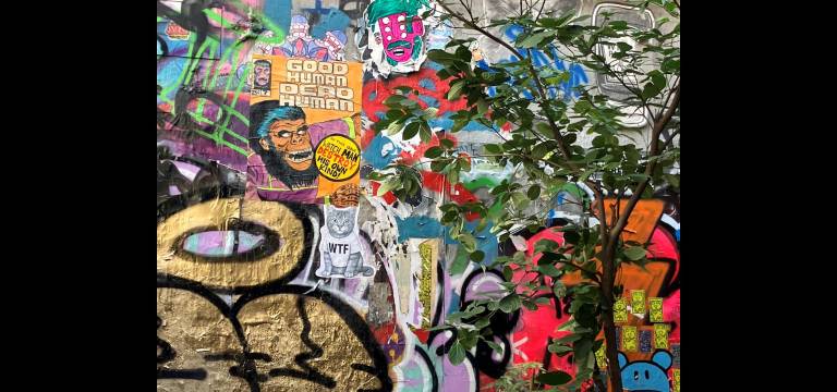 Graffiti art: paint and collage, adorned with unexpected greenery in Freeman Alley