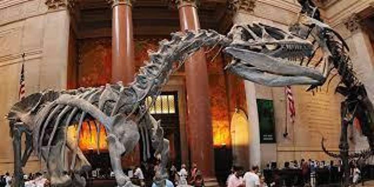 natural history via www.amnh.org