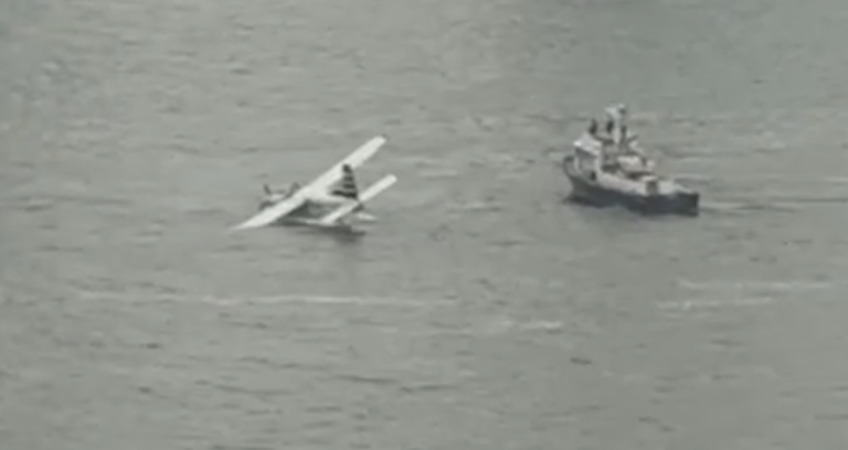 A seaplane made a hard landing into the East River on July 5, but emergency responders rescued all eight passengers and two crew members within minutes.