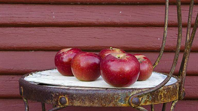 That sheen on an apple is likely from a naturally occurring wax that is applied after harvesting, to replace the natural resin that was wiped away when the fruit is washed during processing.