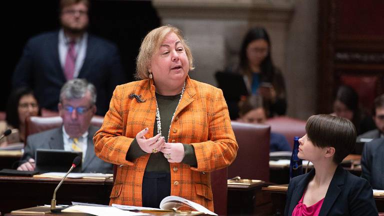 Upper East Side State Senator Liz Krueger at a legislative session in Albany, NY.