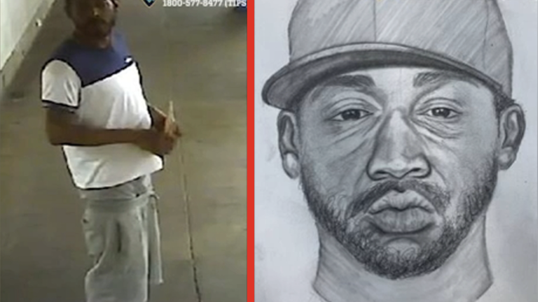 Central Park attempted rape suspect as seen and sketched in summer 2024.