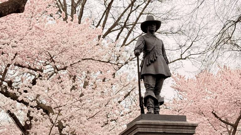 The Pilgrim on East 72nd Street Central Park is surrounded by pink blossoms this time of year.