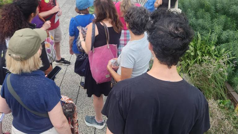 A docent leads a group of visitors on a tour of the High Line earlier this summer.