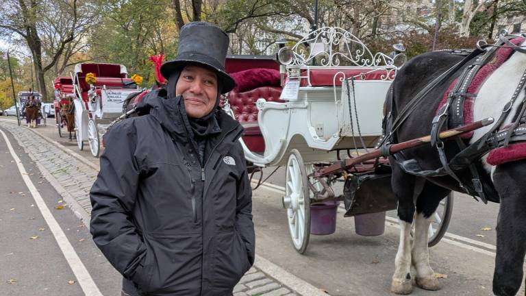 A horse carriage driver in Central Park, Nov. 13, 2025.