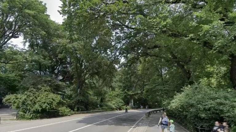 A 71-year-old man was killed after flying off his bike while avoiding an off-leash dog on East Drive, near E. 84th Street, on October 5.